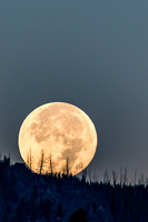 Super Moon setting over Yellowstone
