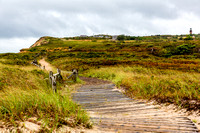 Aquinas Beach Path