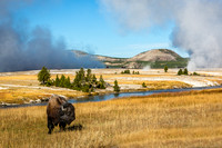 Yellowstone and Tetons